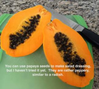Cut papaya w:seeds